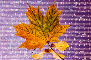 Similar image 6563573