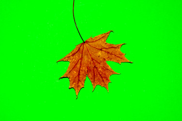 Similar image 6563576