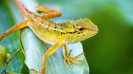 Similar image 6563622