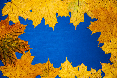 Similar image 6563623