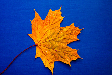 Similar image 6563624