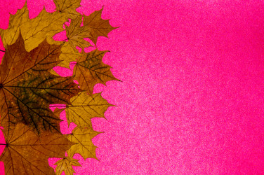 Similar image 6563627