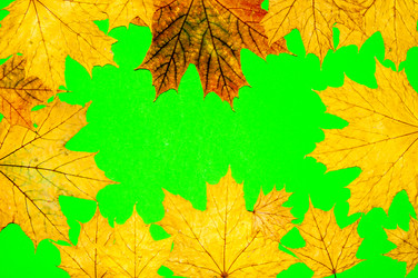 Similar image 6563628