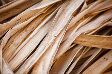 Similar image 6563637