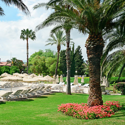 Similar image 6563680