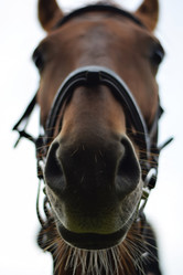 Similar image 6563692