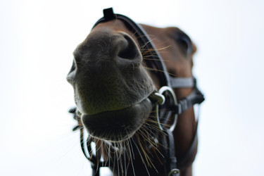 Similar image 6563693