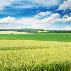 Similar image 6563704