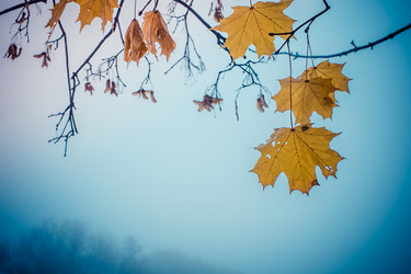 Similar image 6563712