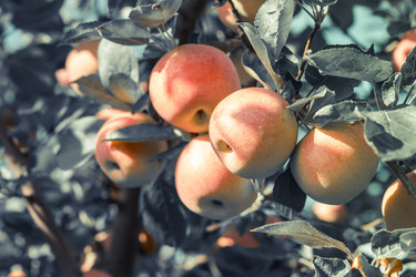 Similar image 6563717