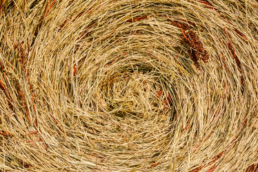 Similar image 6563724