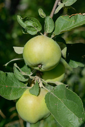 Similar image 6563727