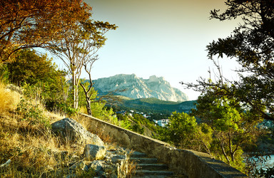 Similar image 6563765