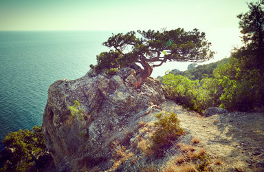 Similar image 6563770