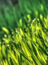 Similar image 6563897