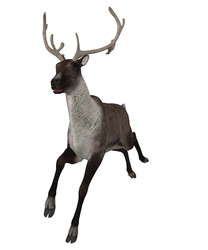 Similar image 6563903