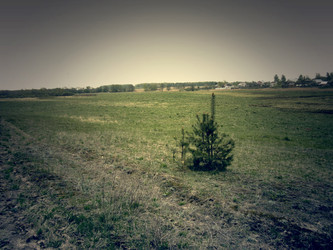 Similar image 6563926