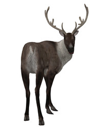 Similar image 6563937