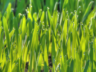 Similar image 6563941