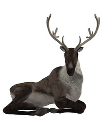 Similar image 6563946