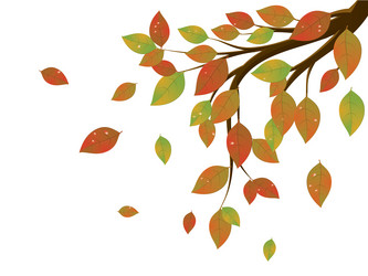 Similar image 6563963