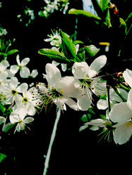 Similar image 6563971