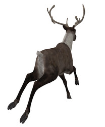 Similar image 6563974