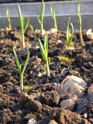 Similar image 6563975