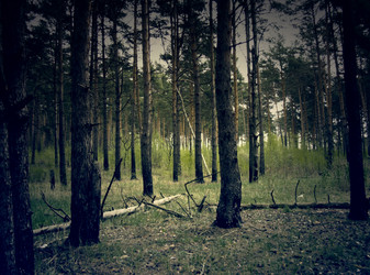 Similar image 6563984