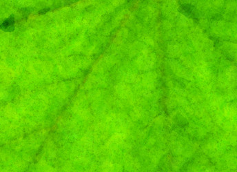 Similar image 6563994