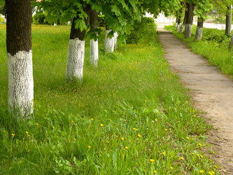 Similar image 6563997