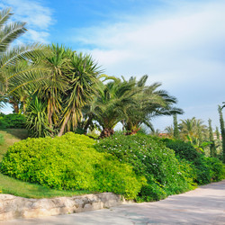 Similar image 6564098