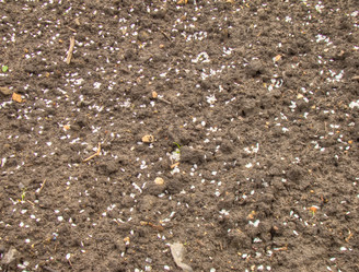 Similar image 6564126