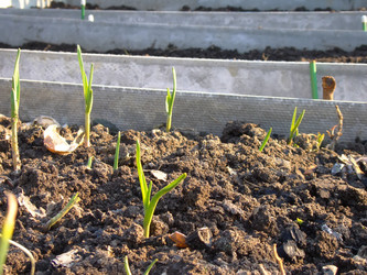 Similar image 6564127