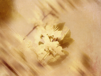 Similar image 6564131