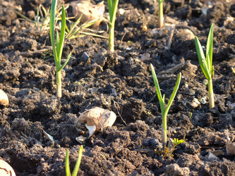 Similar image 6564134