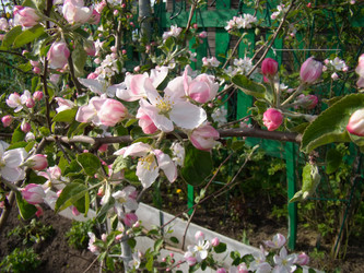 Similar image 6564137