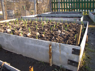 Similar image 6564143