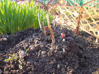 Similar image 6564192