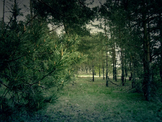 Similar image 6564196