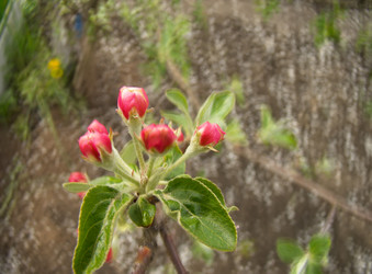 Similar image 6564197