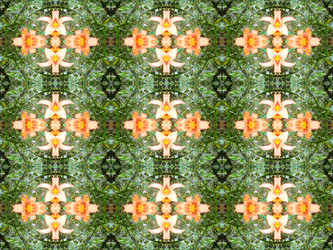 Similar image 6564275