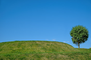 Similar image 6564285