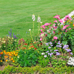 Similar image 6564291