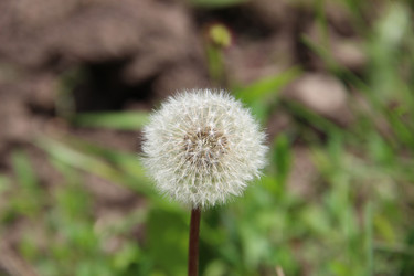 Similar image 6564488