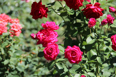 Similar image 6564489