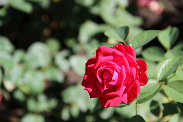 Similar image 6564490