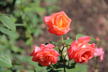 Similar image 6564491