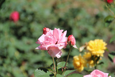 Similar image 6564492