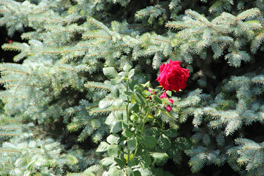 Similar image 6564493